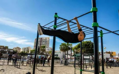 Curso Bases de Calistenia